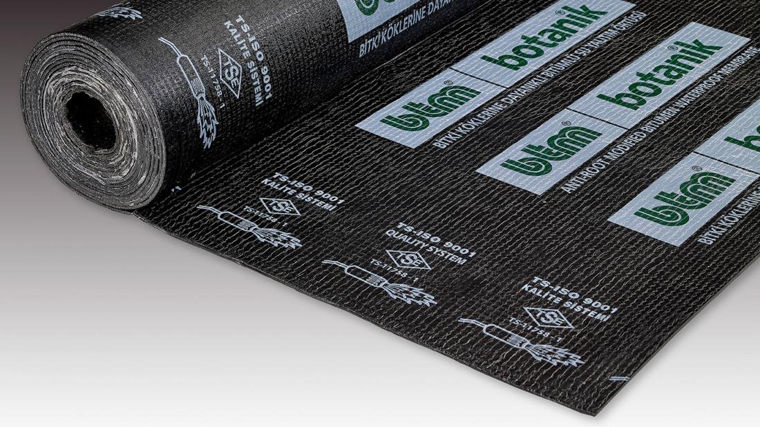 Kök Tutucu ( Botanik )  Membran